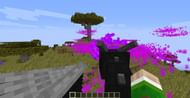 Overworld Ender Dragon battle (Image via minecraftsix)